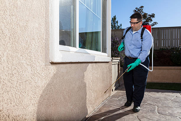  Westlake Village, CA Pest Control Pros